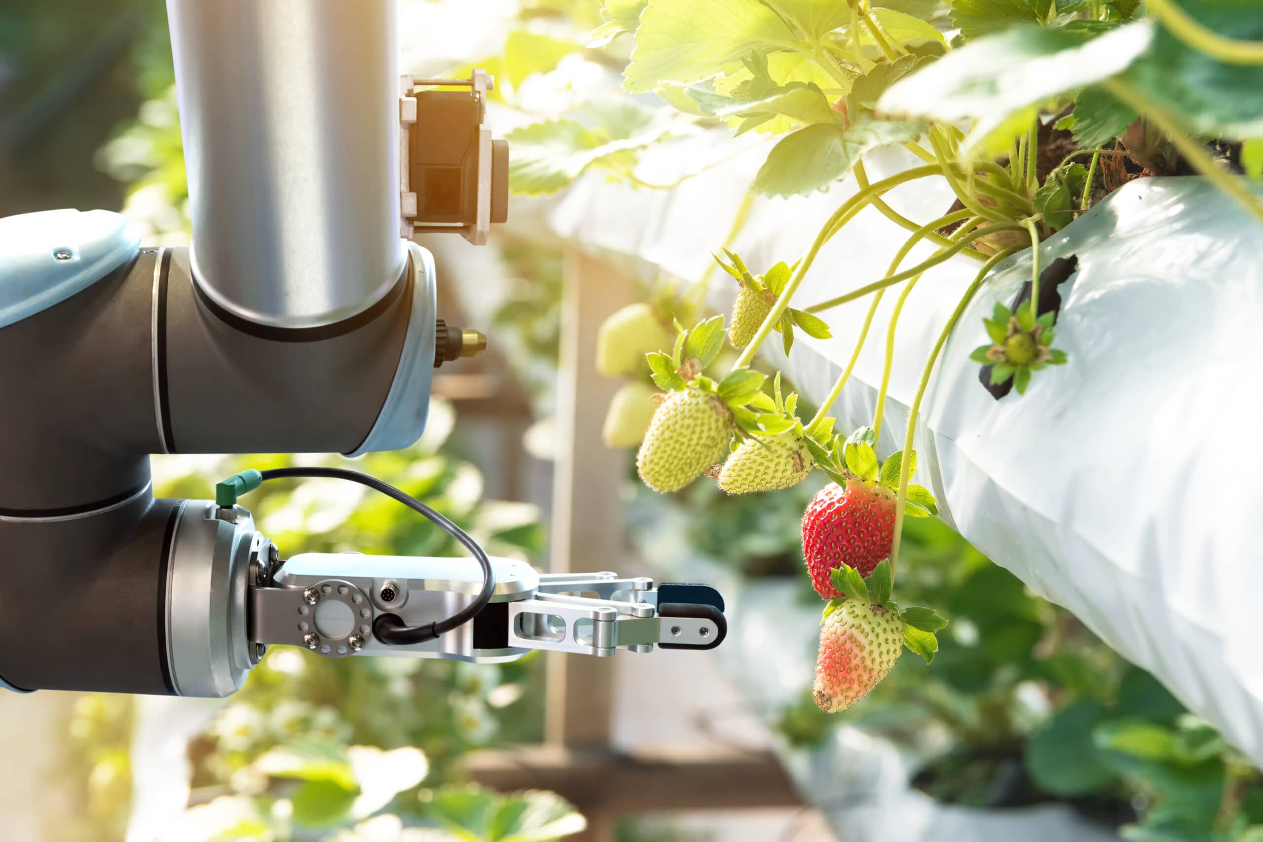 Agriculture,Technology,,,Artificial,Intelligence,Concepts,,Farmer,Use,Smart,Farm